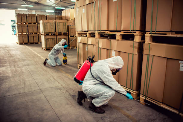 Flea Control Services in Riverside, CA