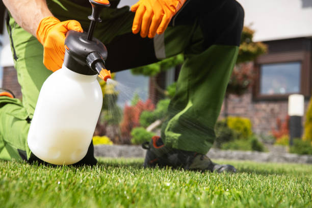 Best Wasp Removal Services  in Riverside, CA