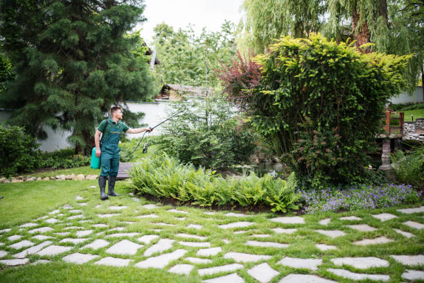 Best Residential Pest Control  in Riverside, CA