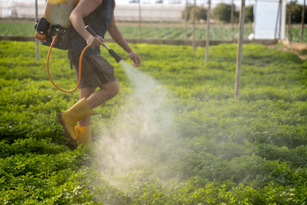 Best Pest Control Near Me in Riverside, CA