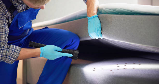  Riverside, CA Pest Control Pros