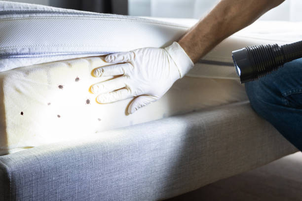 Best Pest Prevention Services  in Riverside, CA